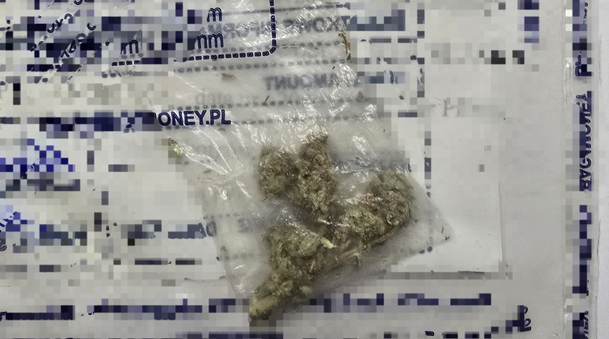 Agresywne rodzeństwo w Świętochłowicach