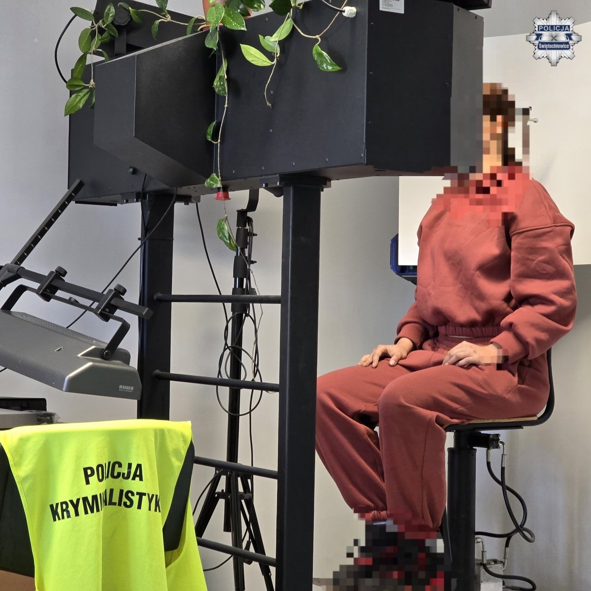 Agresywne rodzeństwo w Świętochłowicach