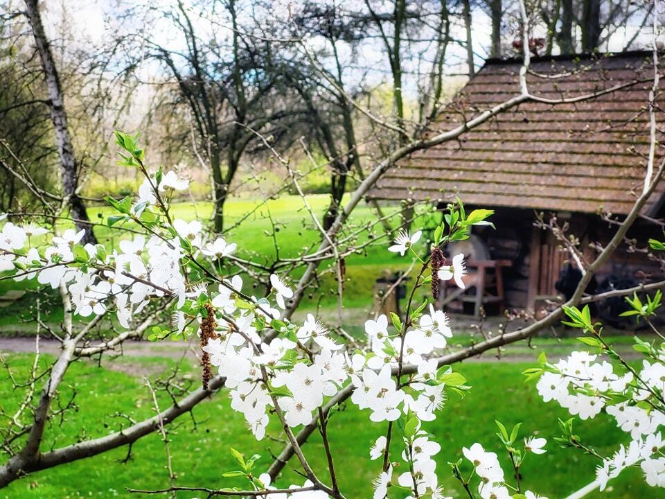 Chorzow skansen 7