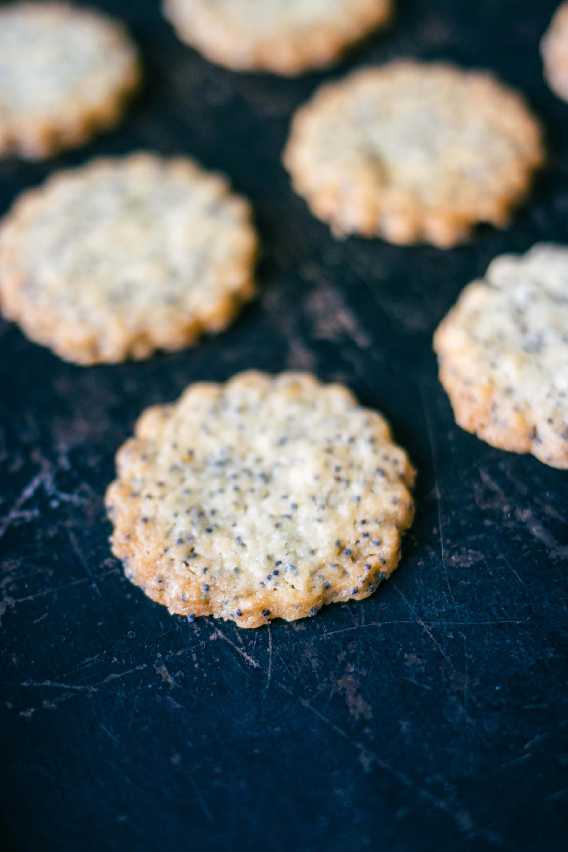 Ciasteczka świąteczne w kawiarni Fika w Katowicach