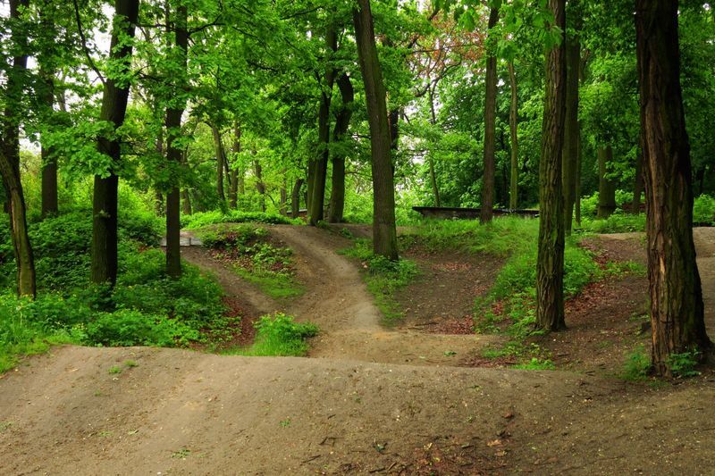 Skatepark w Parku Wiśniowiec
