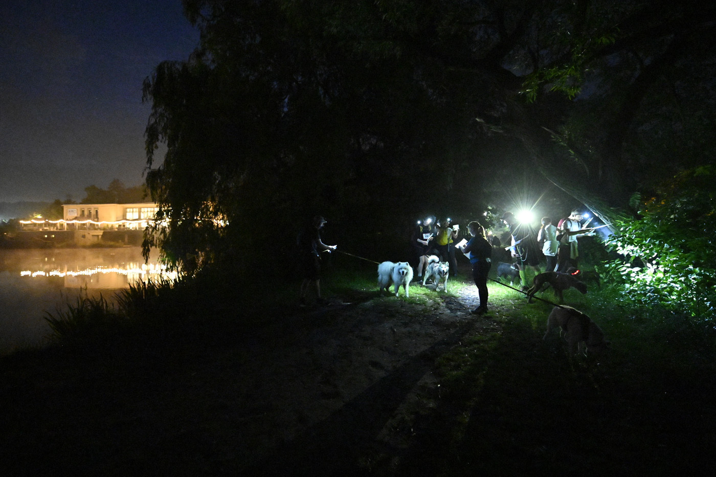 Dogtrekking Park Śląski