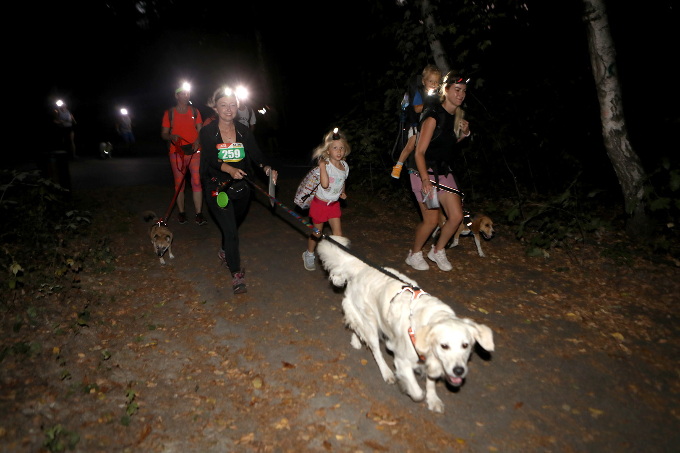 Dogtrekking Park Śląski