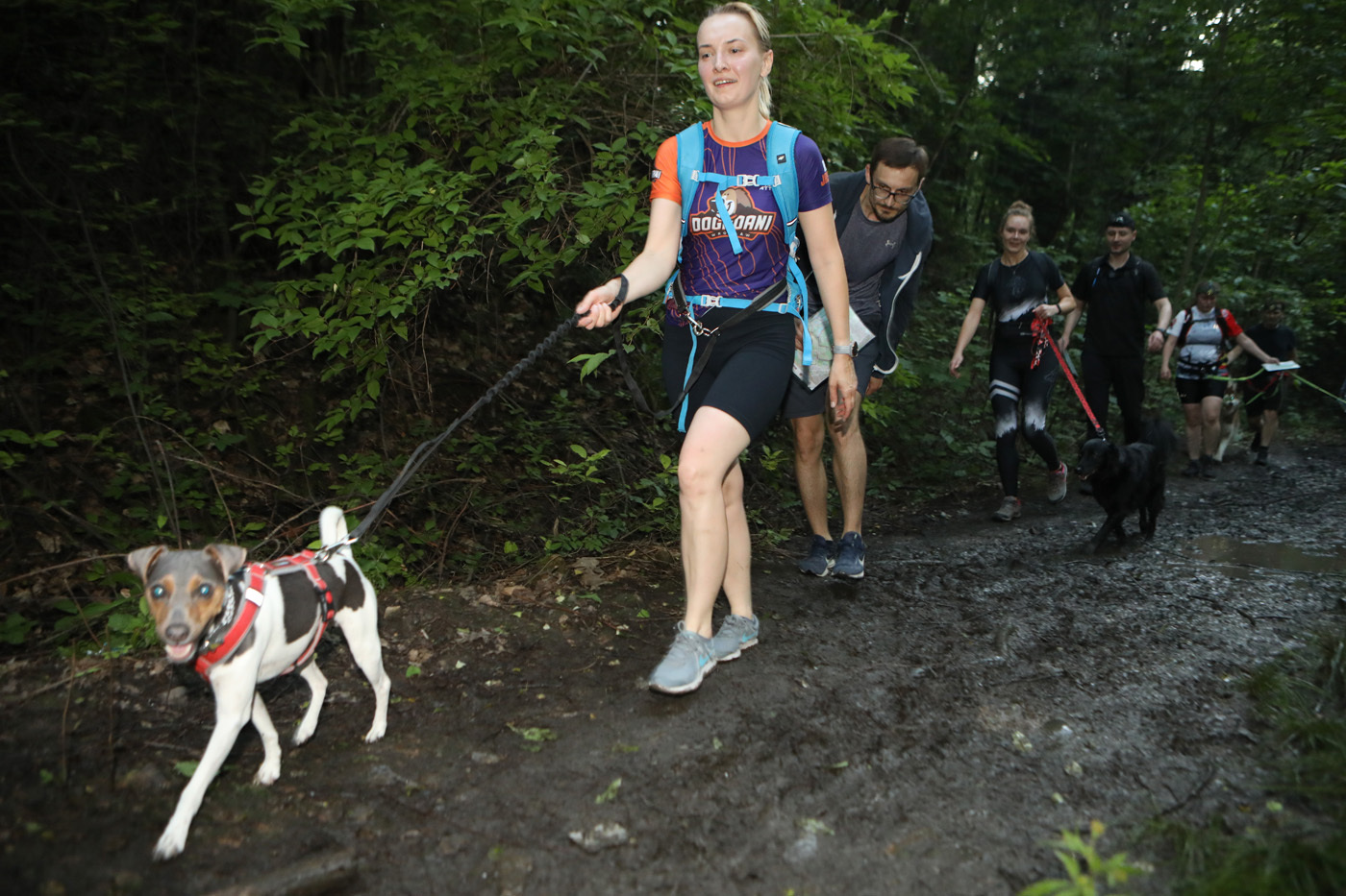 Dogtrekking Park Śląski