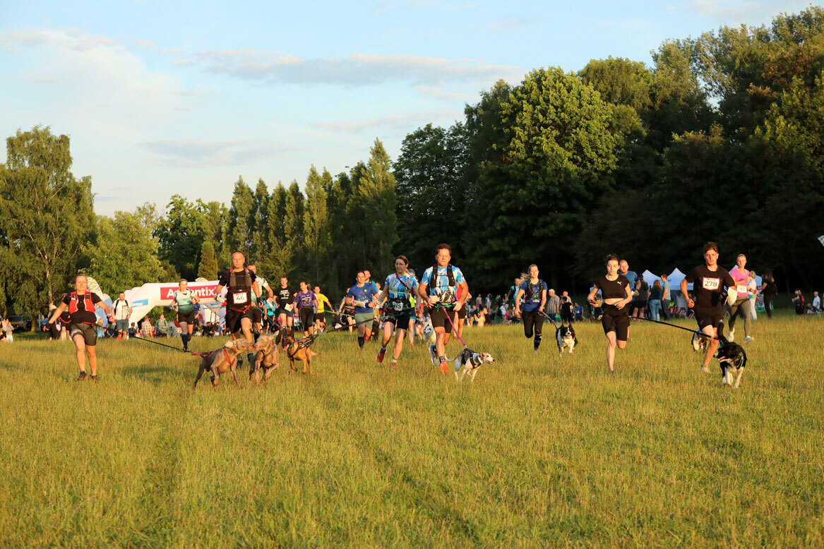 Dogtrekking Park Śląski