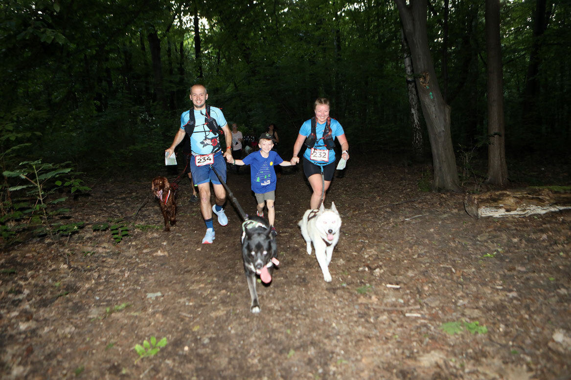 Dogtrekking Park Śląski