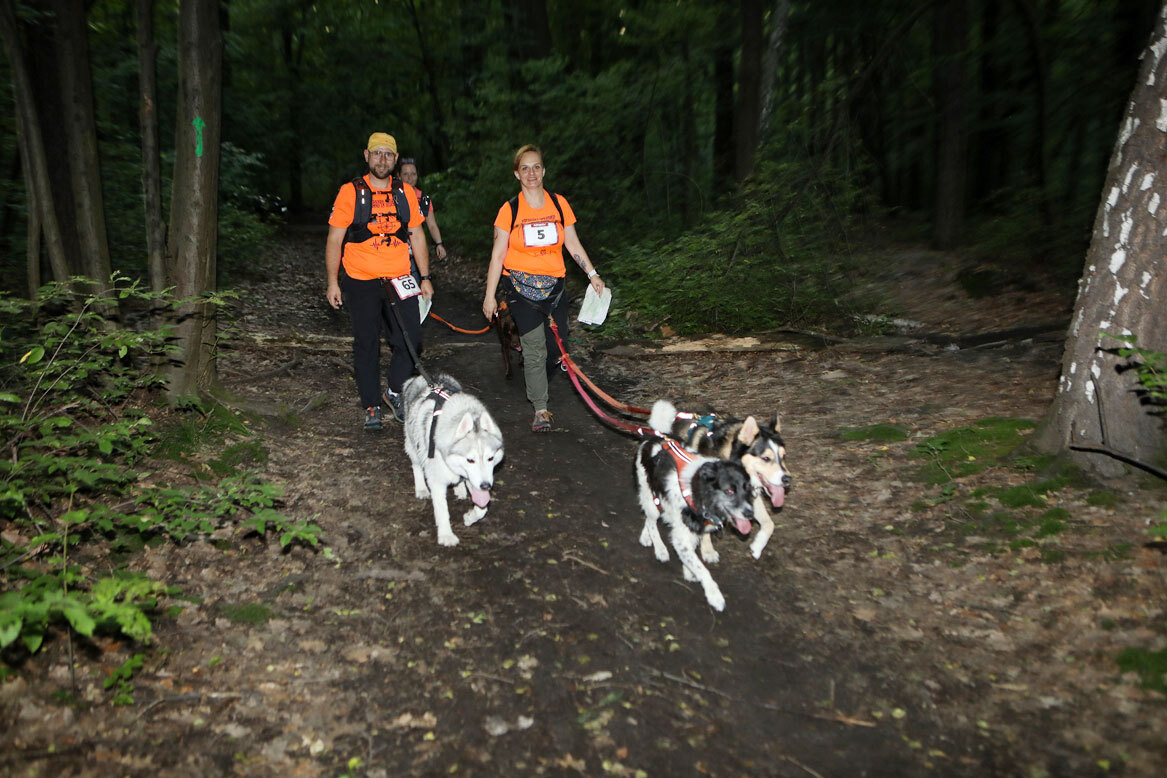 Dogtrekking Park Śląski
