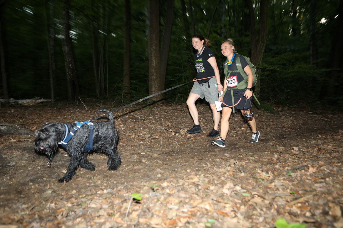 Dogtrekking Park Śląski