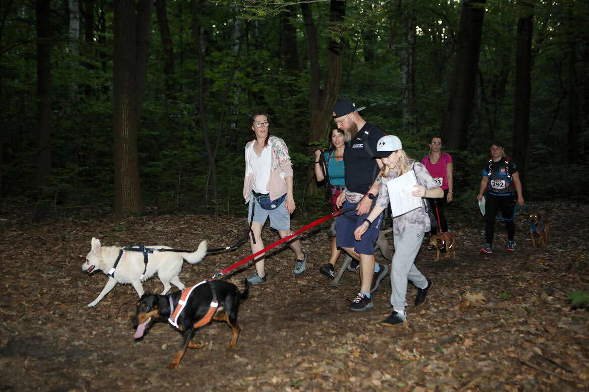 Dogtrekking Park Śląski