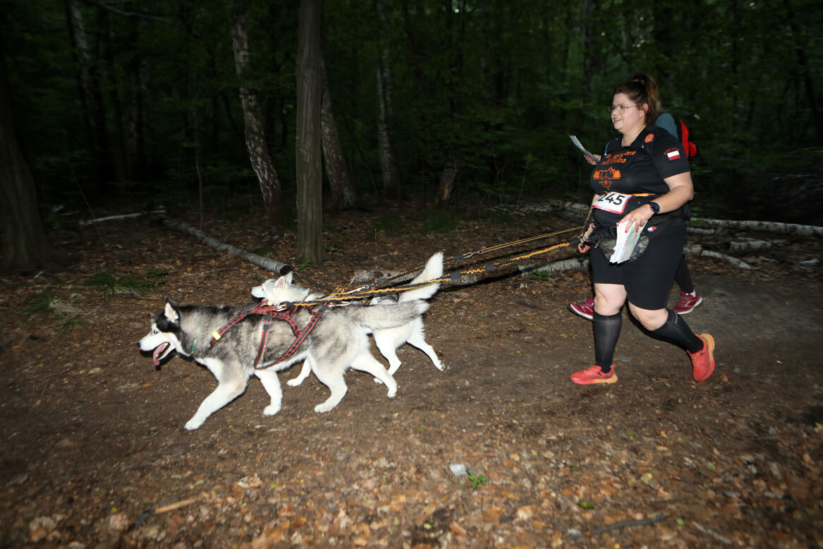 Dogtrekking Park Śląski