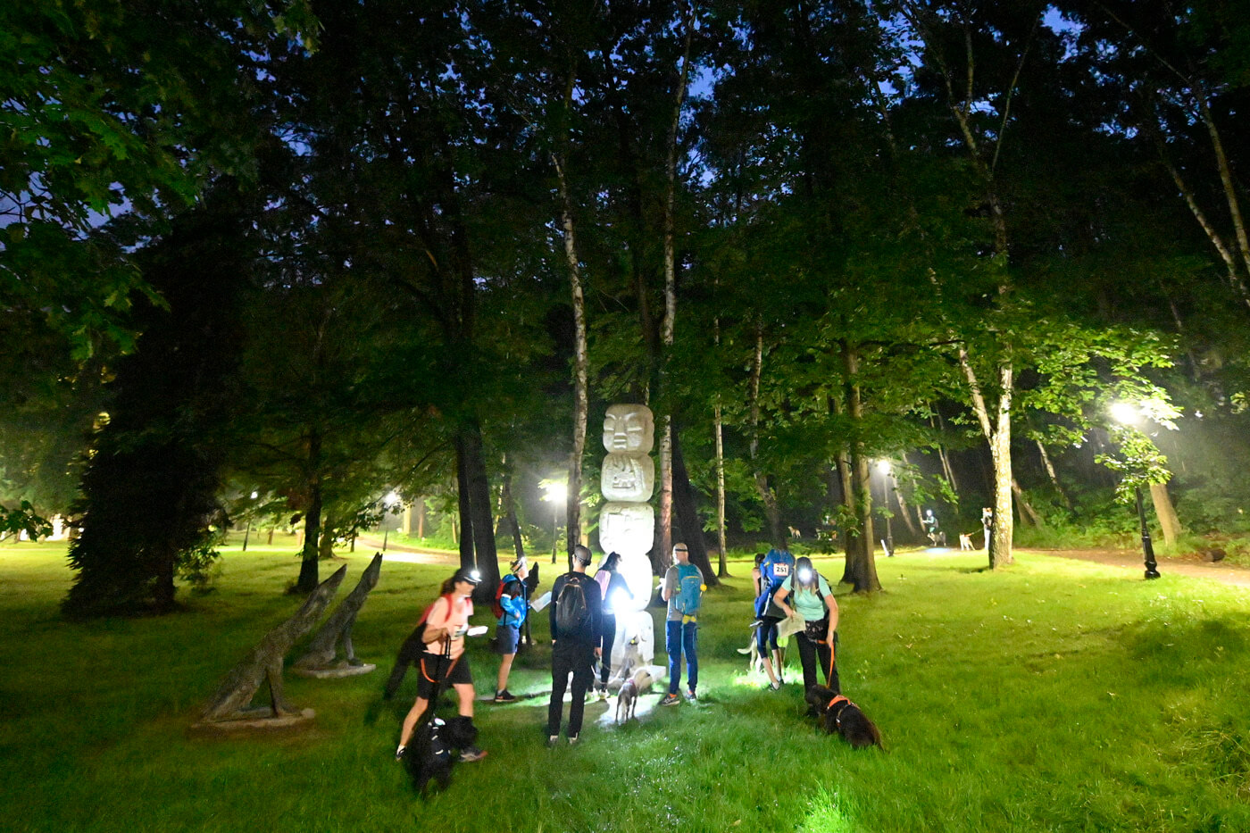 Dogtrekking Park Śląski
