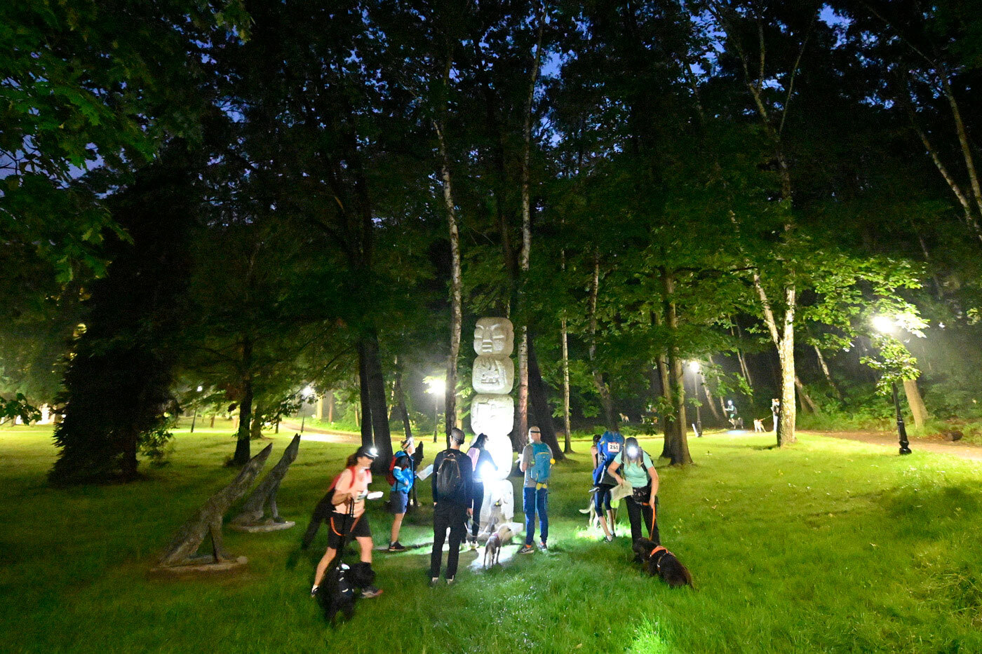 Dogtrekking Park Śląski