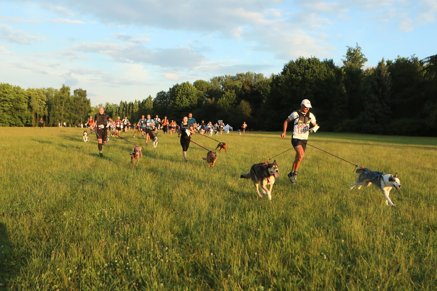 Dogtrekking Park Śląski