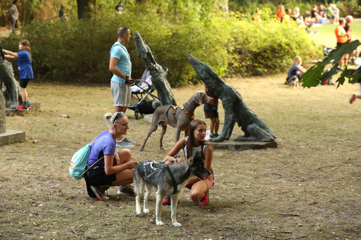 Dogtrekking Park Śląski