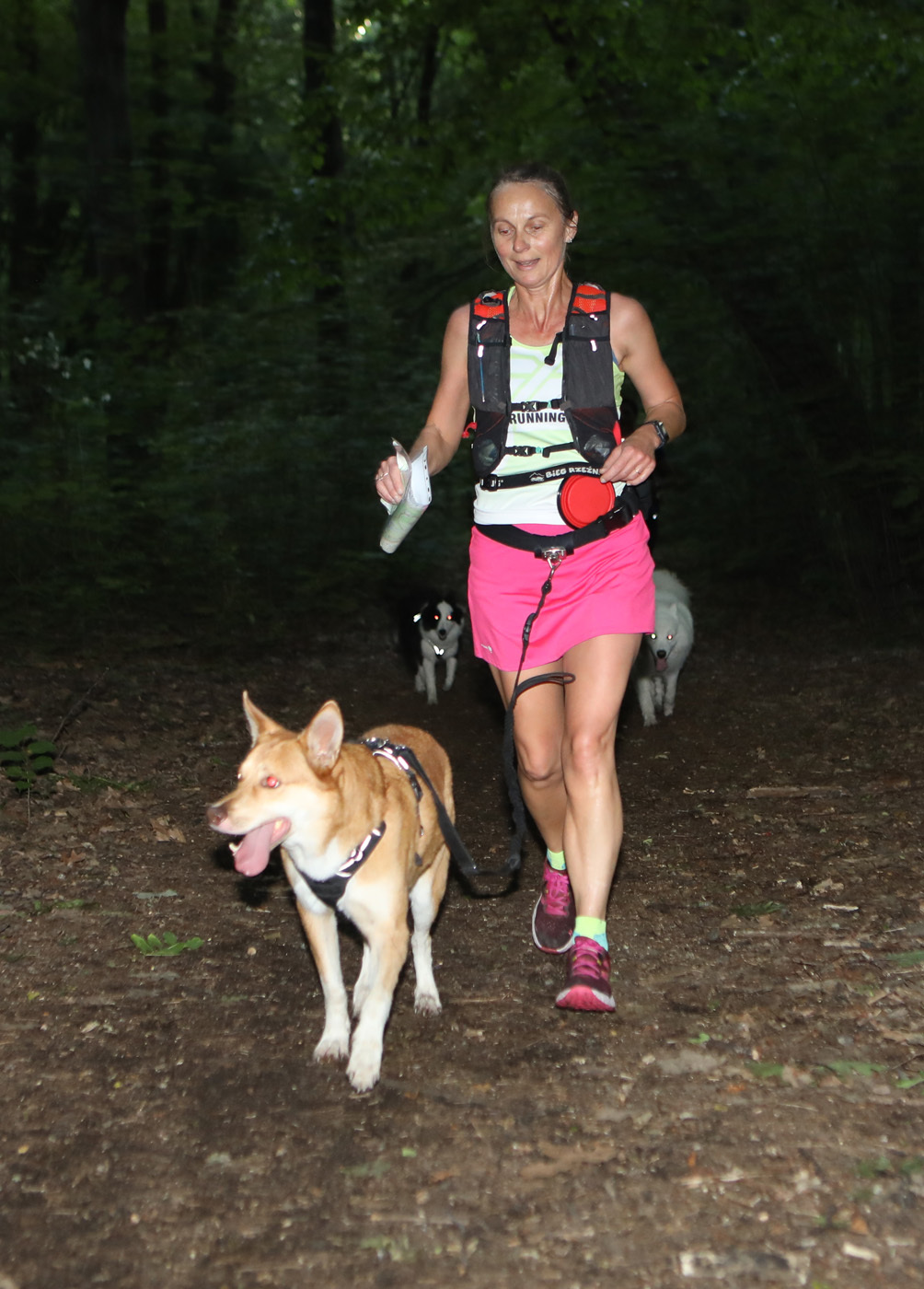 Dogtrekking Park Śląski