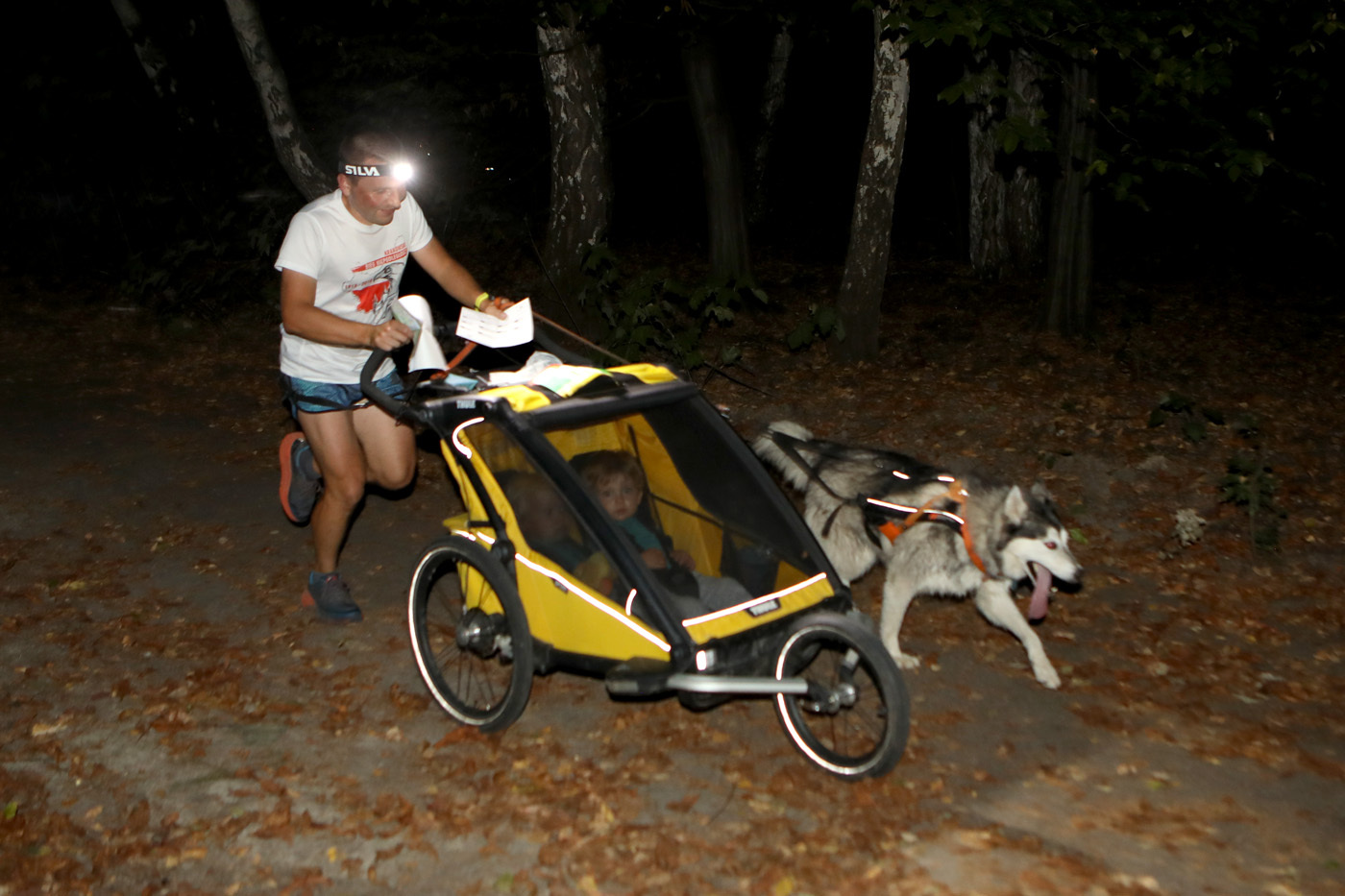 Dogtrekking Park Śląski