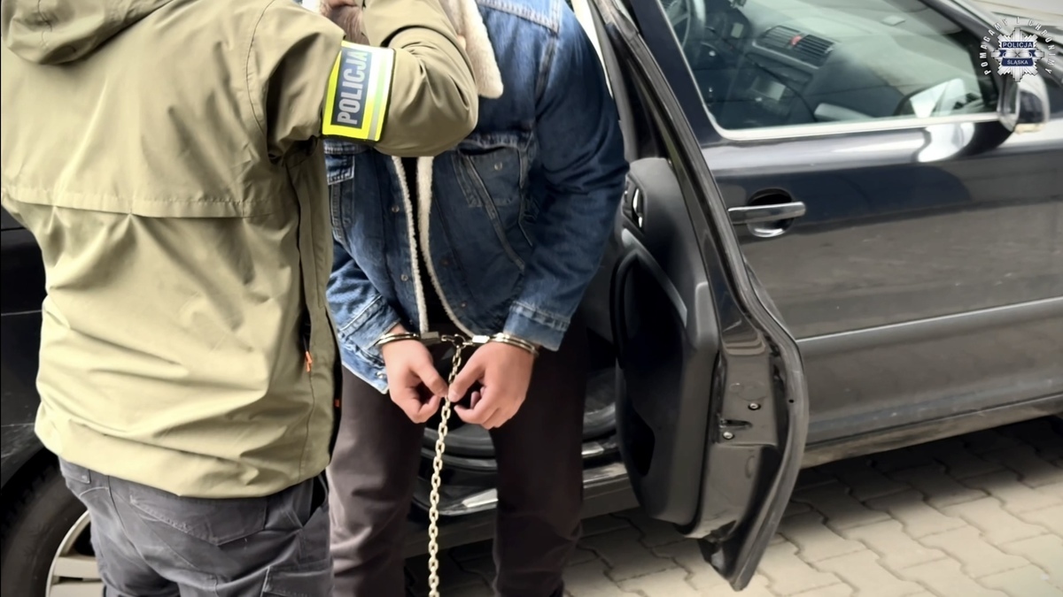 Zatrzymani za brutalny napad