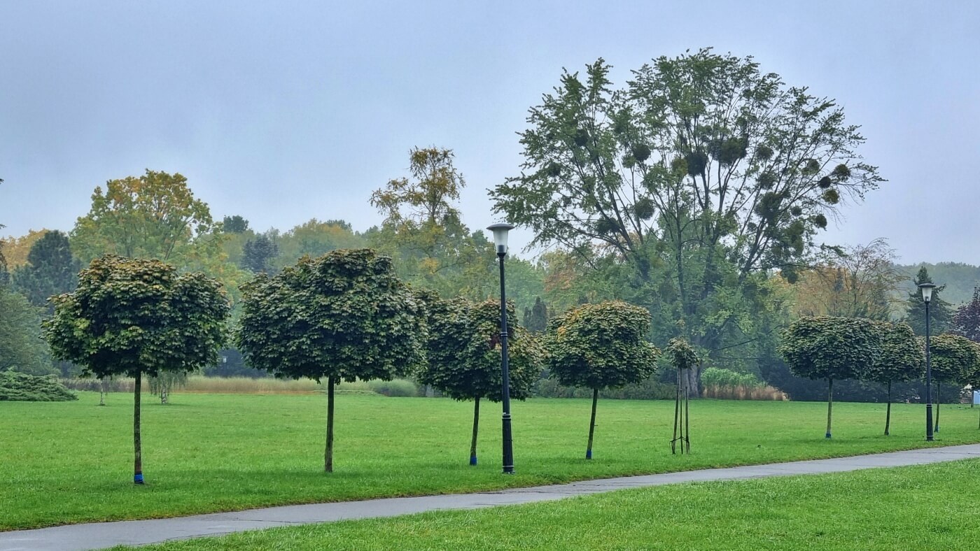 „EKOPARK zielona perła Śląska – podróż do bioróżnorodności”