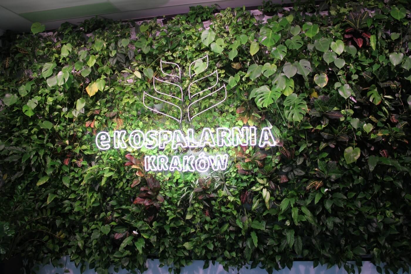 Ekospalarnia krakow 1