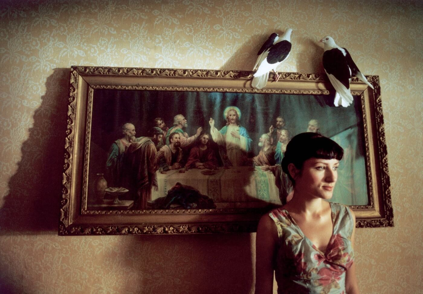 Film angelus 4