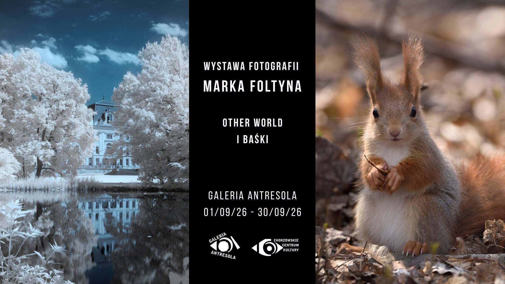 Zielone drzewa stają się białe. Wystawa fotografii "Other World" i "Baśki" dziś w Chorzowie