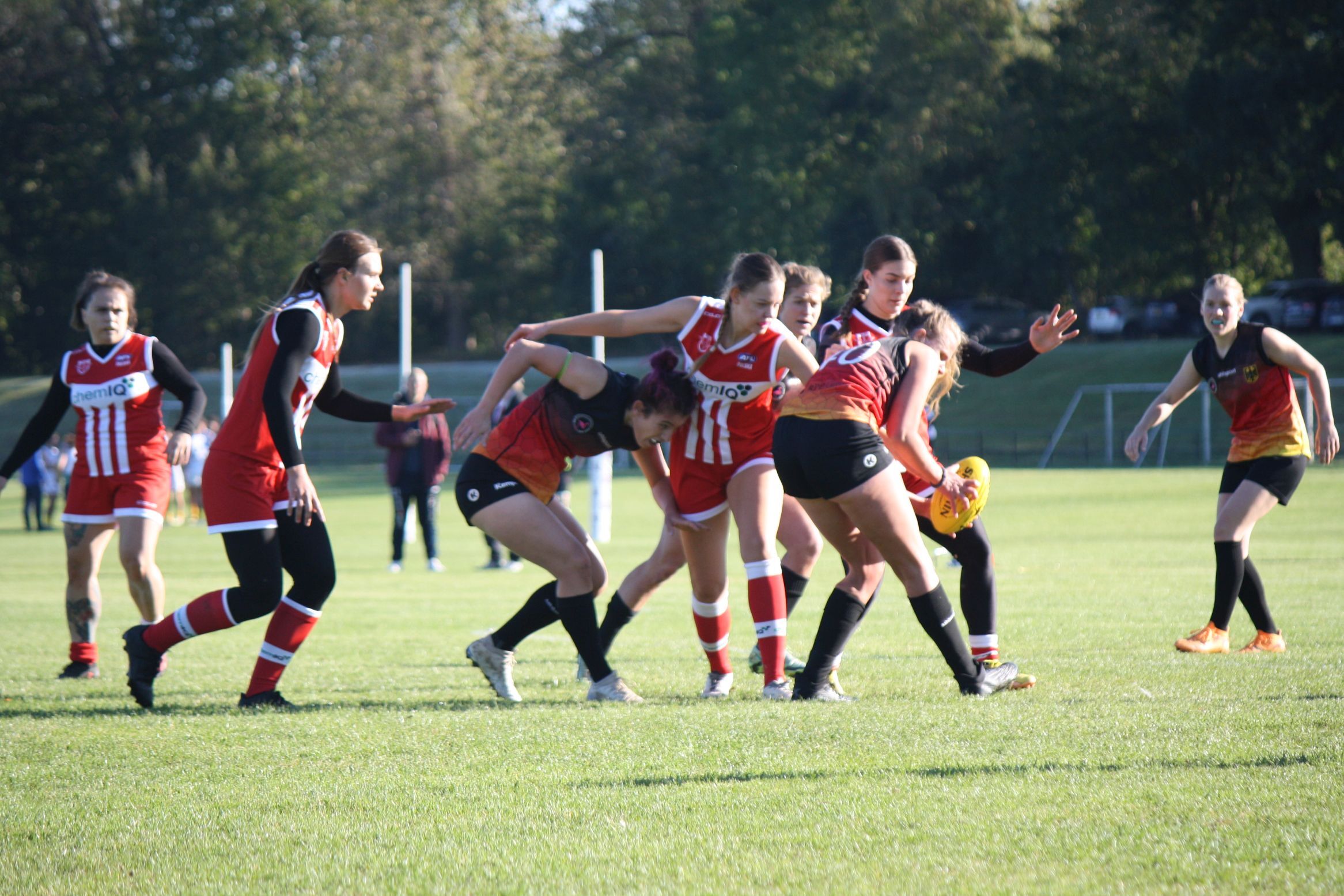 Futbol australijski rozbark13