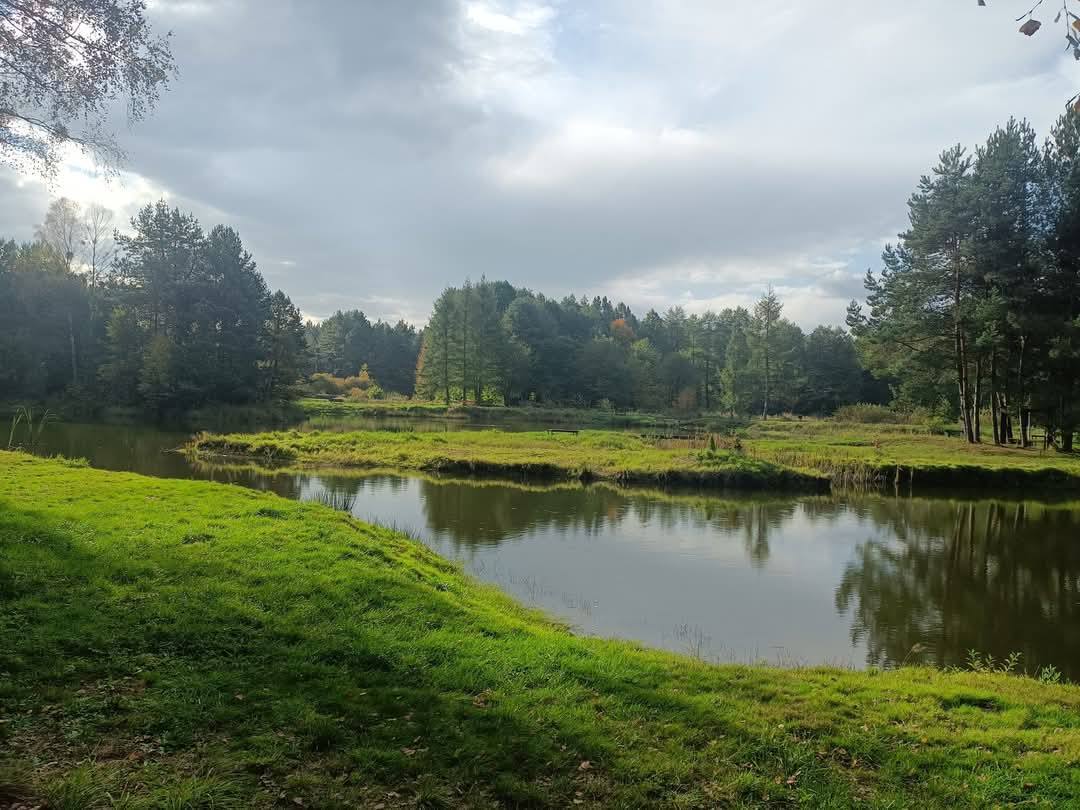 Gierzyna miasteczko slaskie
