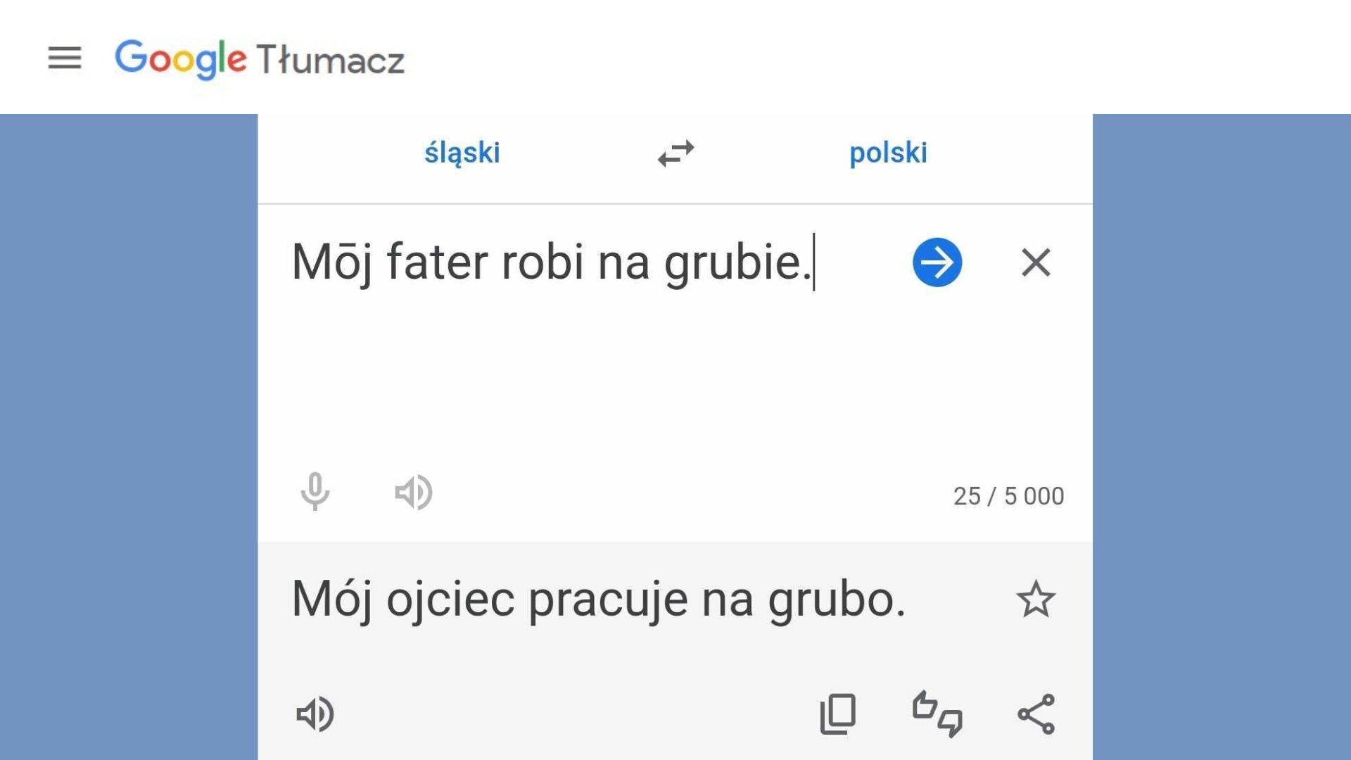 Google translator slaski