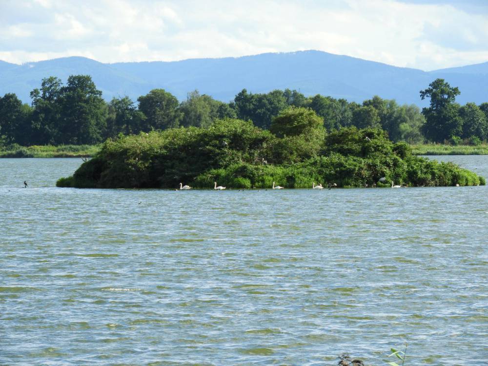 Jezioro goczalkowickie slaskie travel 2