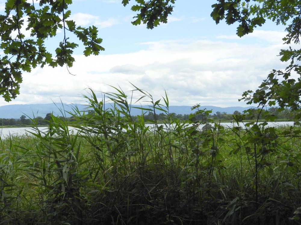 Jezioro goczalkowickie slaskie travel 3