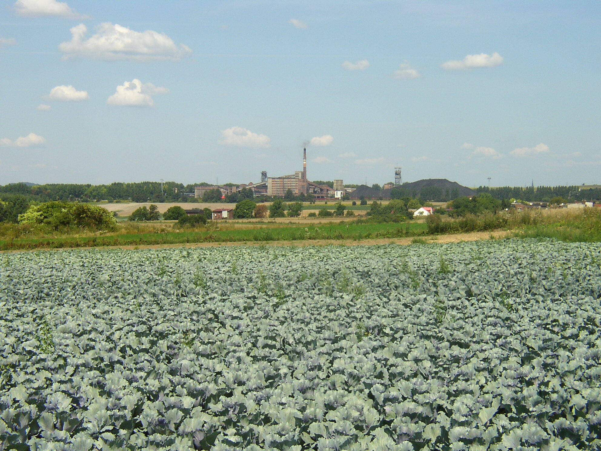 Dawna panorama z kopalnią w tle