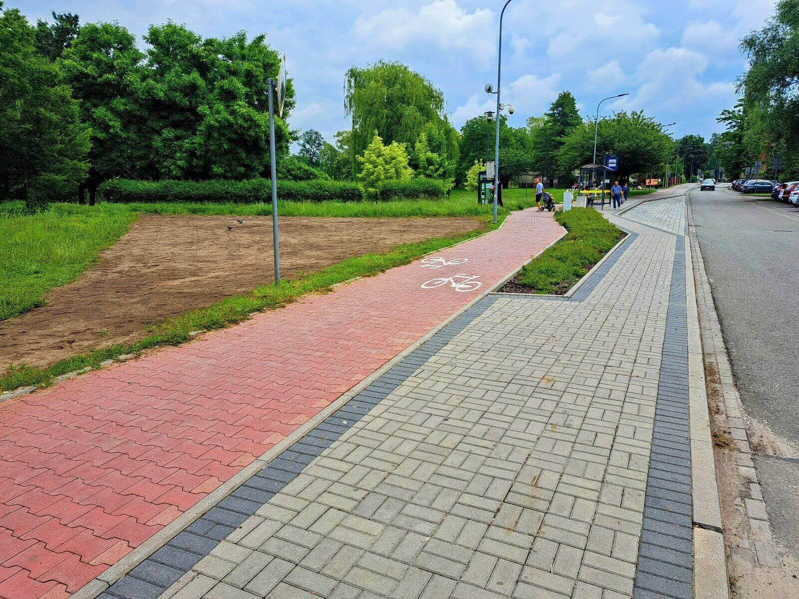 Nowe łąki kwietne w Knurowie