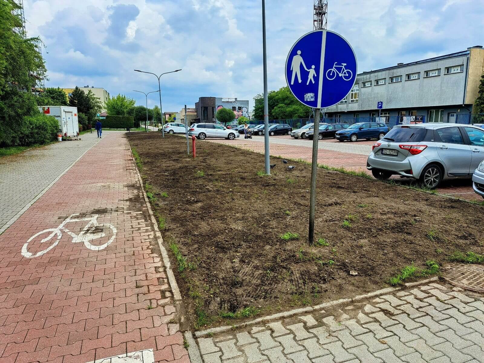 Nowe łąki kwietne w Knurowie