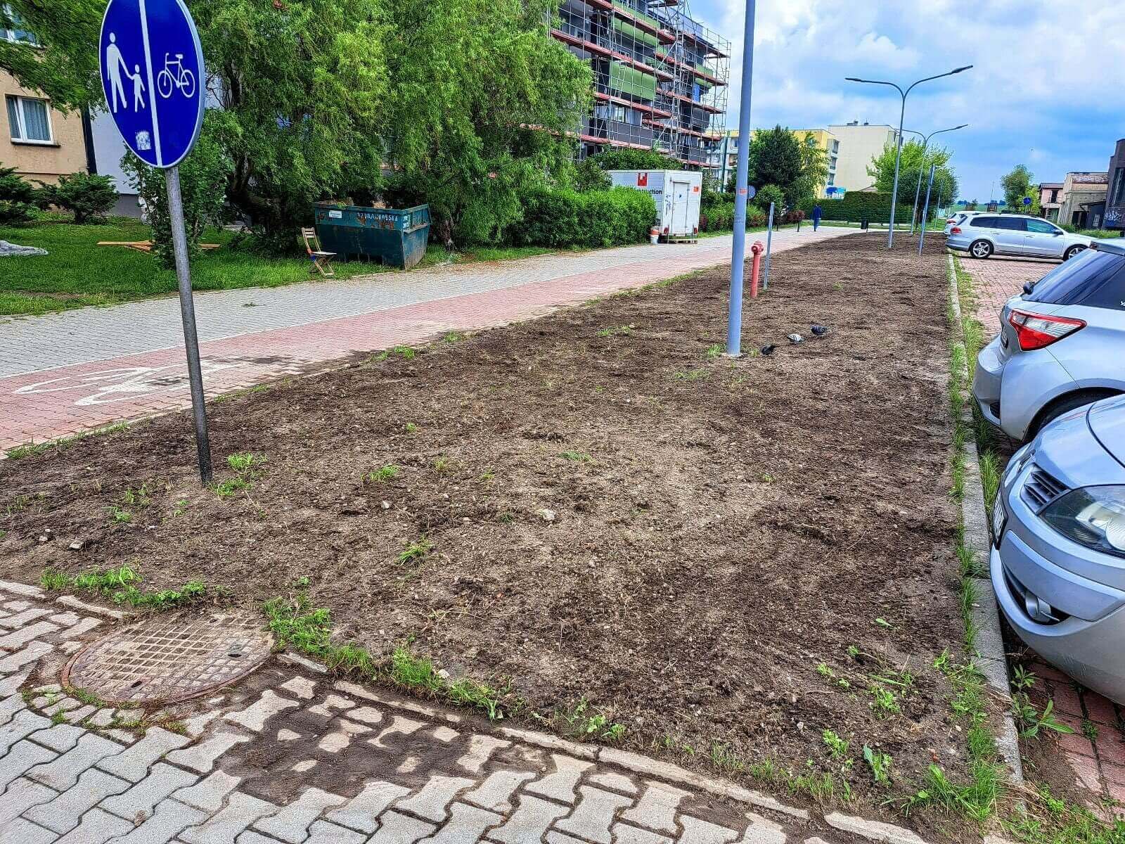 Nowe łąki kwietne w Knurowie