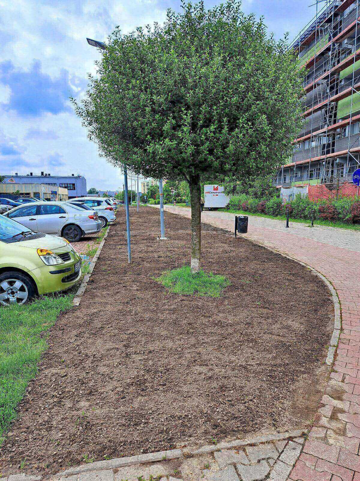 Nowe łąki kwietne w Knurowie