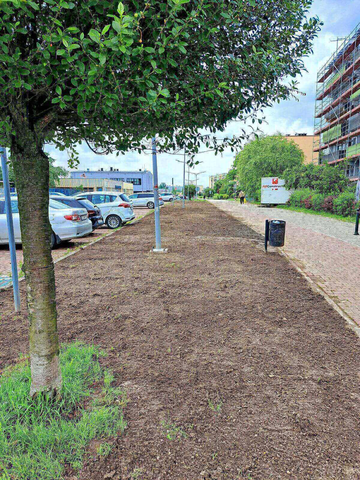 Nowe łąki kwietne w Knurowie