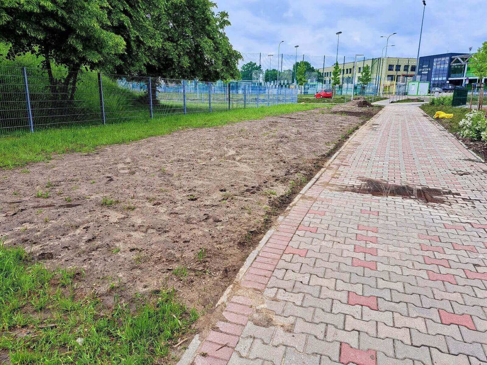 Nowe łąki kwietne w Knurowie