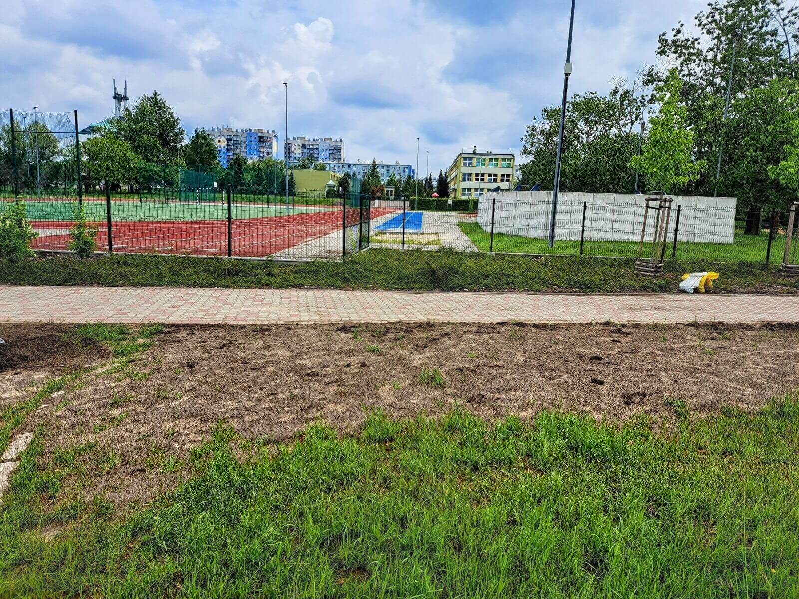 Nowe łąki kwietne w Knurowie