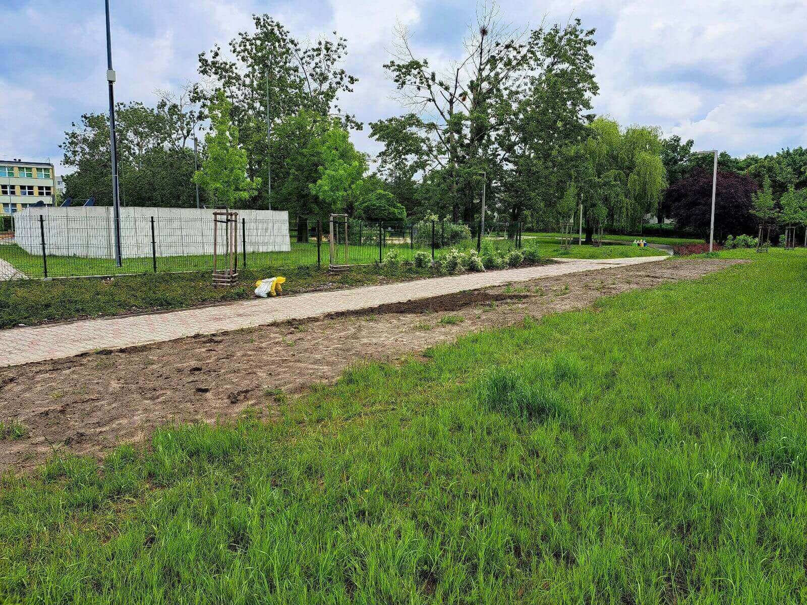 Nowe łąki kwietne w Knurowie