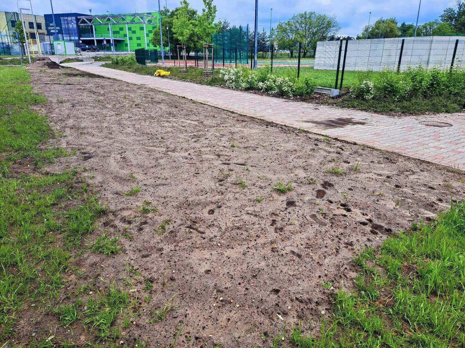 Nowe łąki kwietne w Knurowie