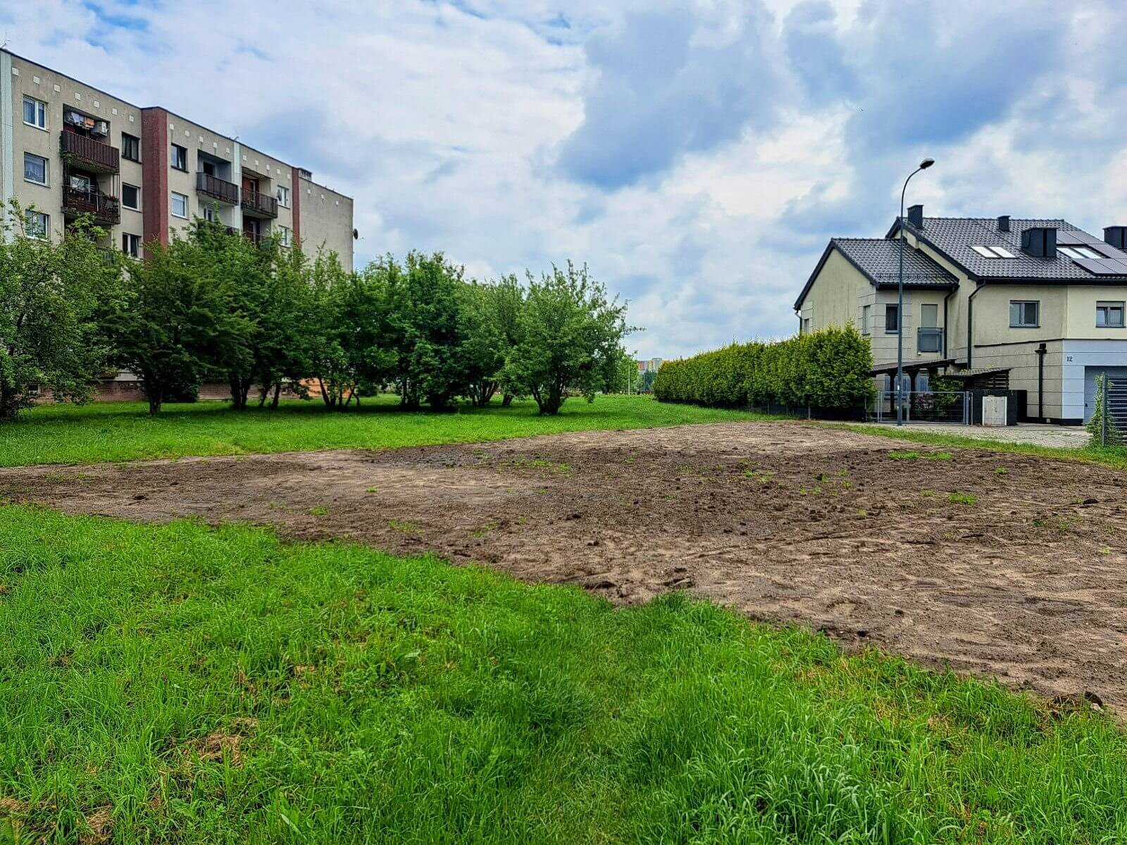 Nowe łąki kwietne w Knurowie