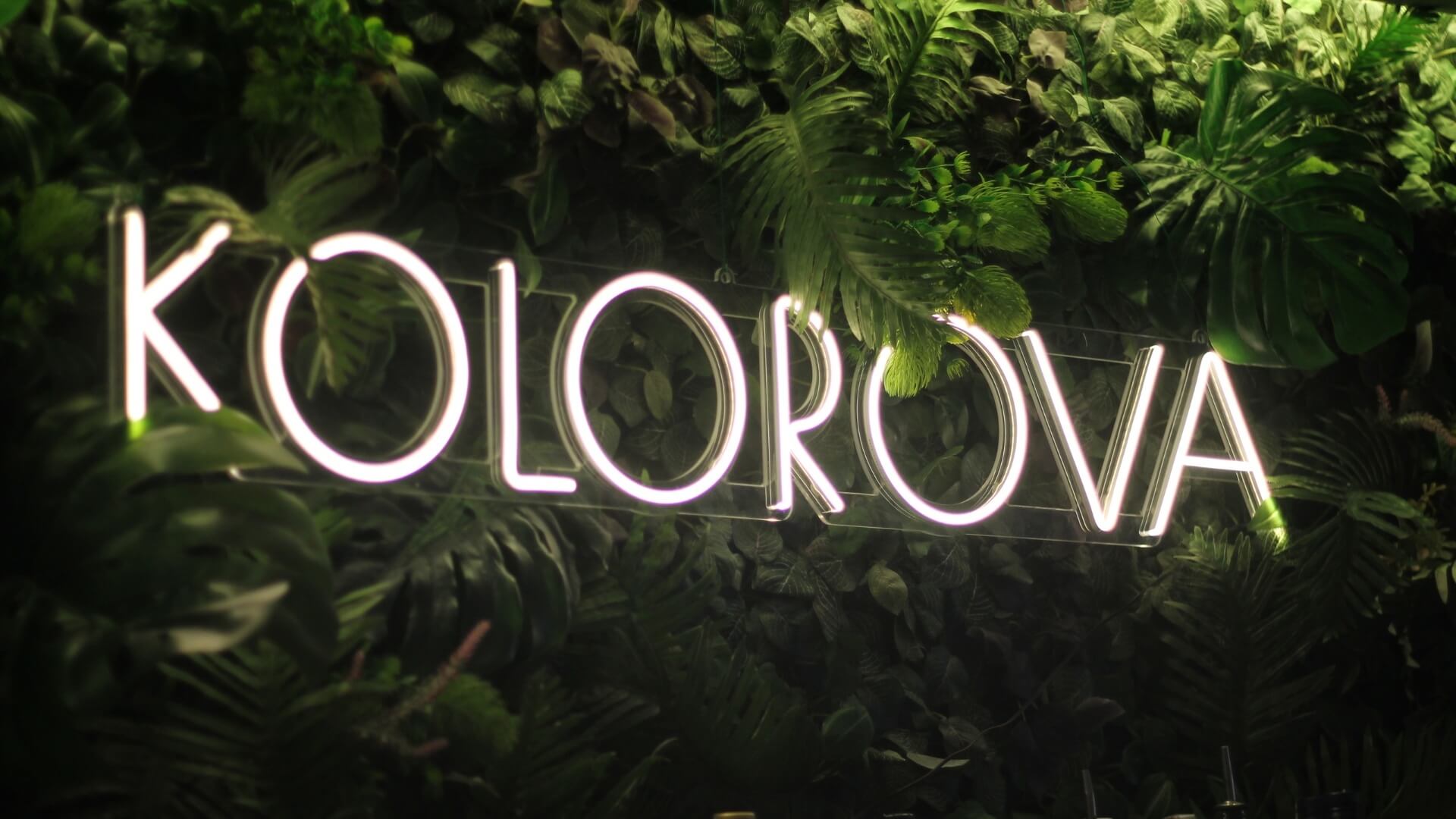 Kolorova14