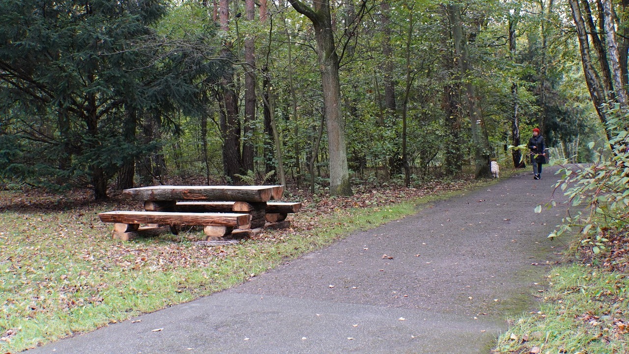 Lawostoly nowe