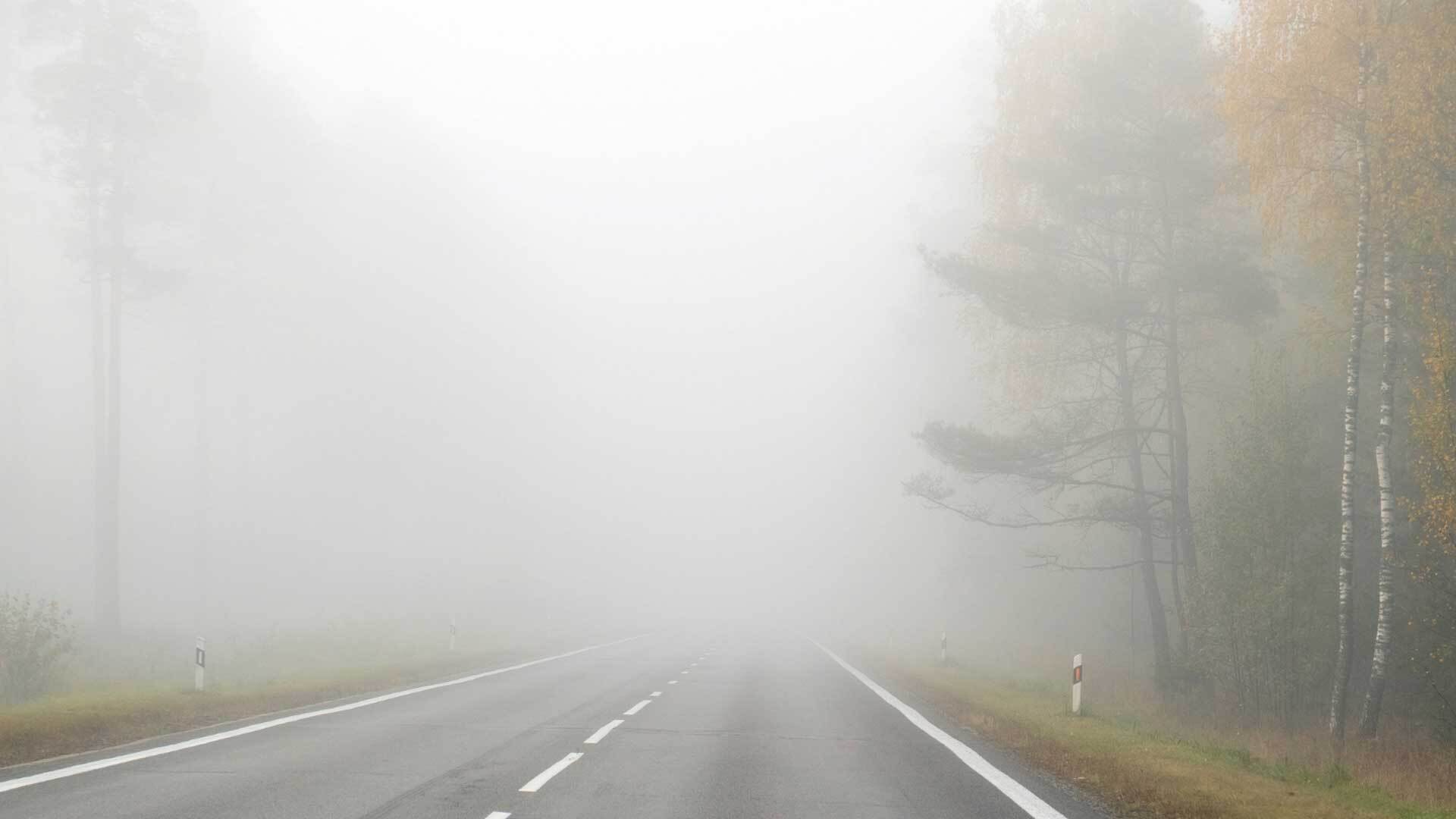 IMGW ostrzega przed gęstą mgłą - widzialność może spaść poniżej 200 metrów