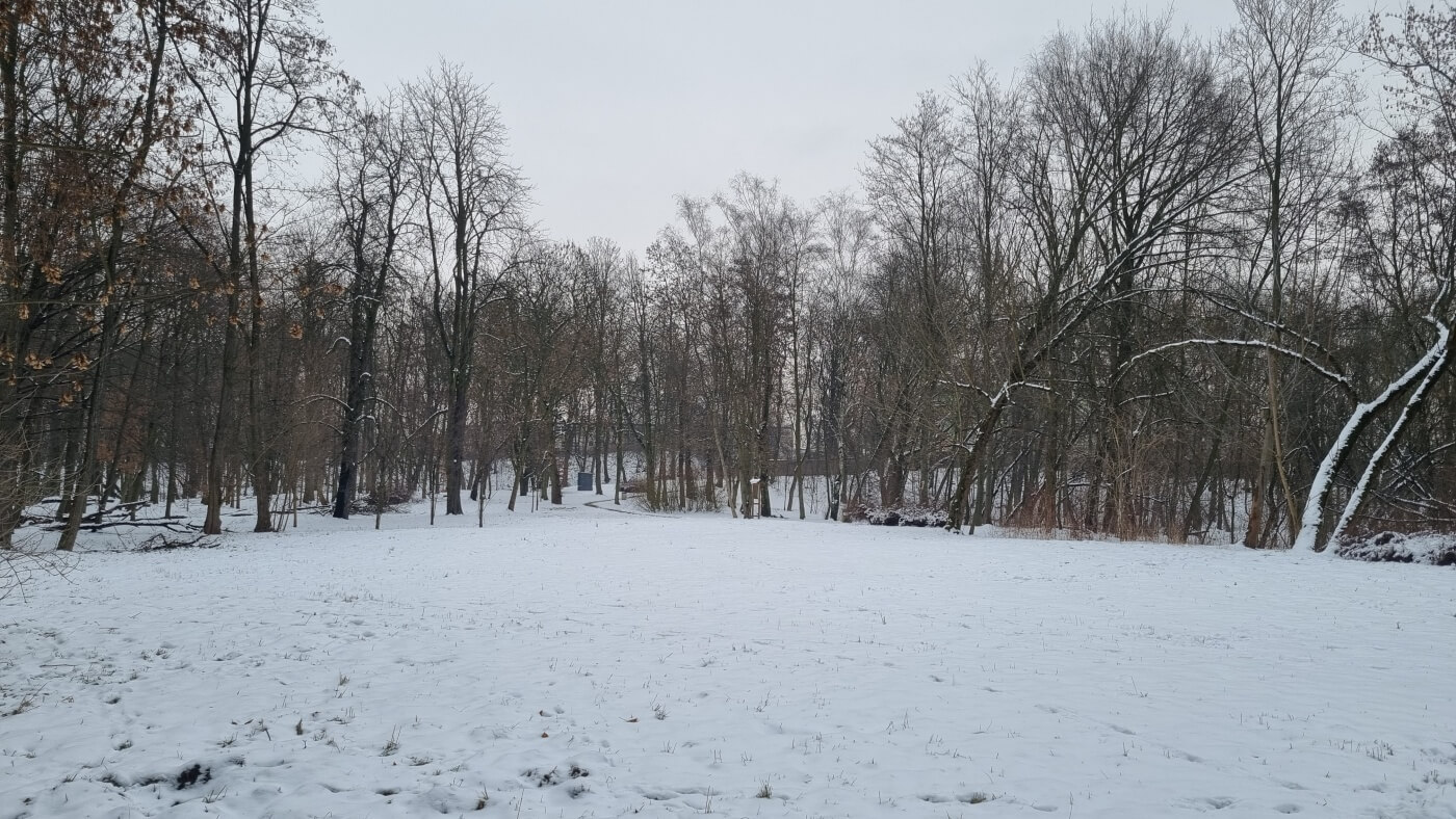 Teren dawnego Parku Ludowego w Michałkowicach