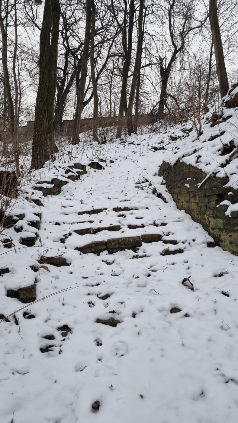 Teren dawnego Parku Ludowego w Michałkowicach