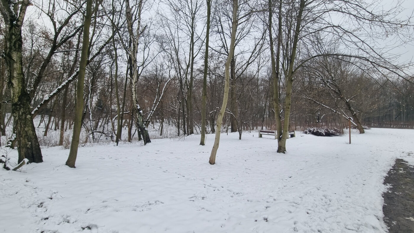 Teren dawnego Parku Ludowego w Michałkowicach