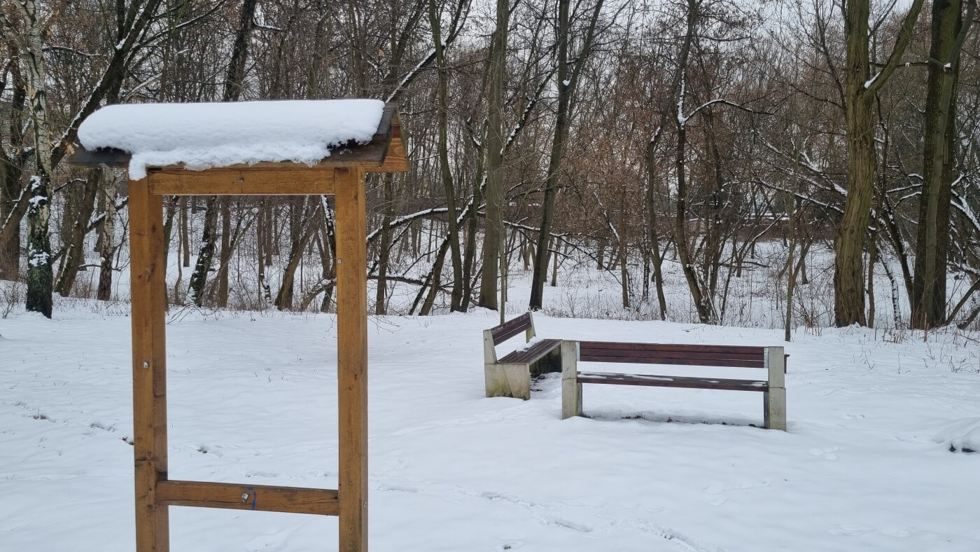 Teren dawnego Parku Ludowego w Michałkowicach