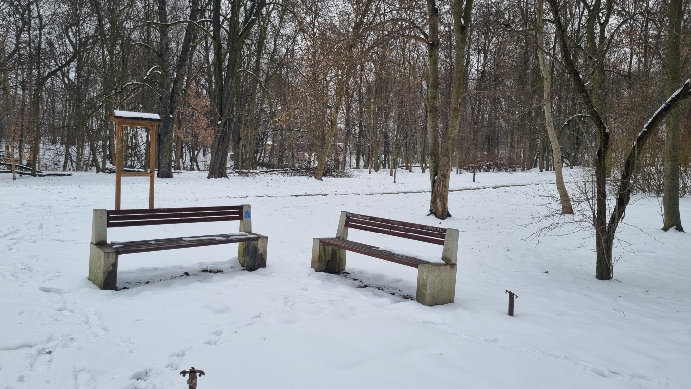 Teren dawnego Parku Ludowego w Michałkowicach