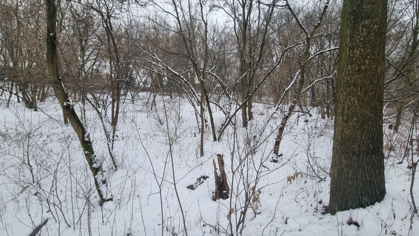 Teren dawnego Parku Ludowego w Michałkowicach